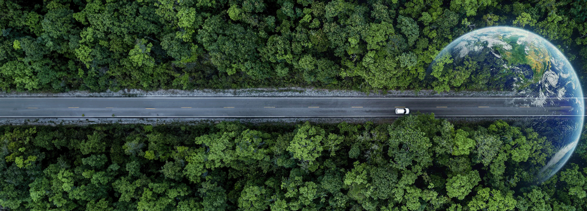 Car driving on a long stretch of road through a forest